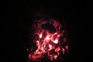 Proč provádět a nepodceňovat cvičný požární poplach
