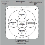 ČSN EN ISO 45001. Norma je očíslovaná podle kapitol (1-10) a čísla v obrázku odkazují právě na tyto kapitoly.